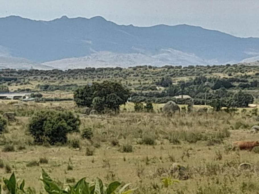 Casa De Las Lavandas, Авила Экстерьер фото